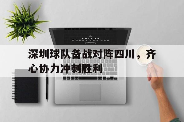 深圳球队备战对阵四川，齐心协力冲刺胜利的简单介绍
